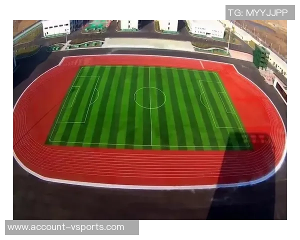 足球场草坪造价分析及影响因素探讨助您了解建设成本与维护费用 足球场草坪造价分析及影响因素探讨助您了解建设成本与维护费用